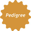 Pedigree