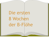 Die ersten8 Wochender B-Flöhe